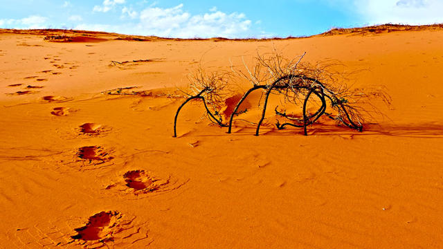 O Deserto Sagrado